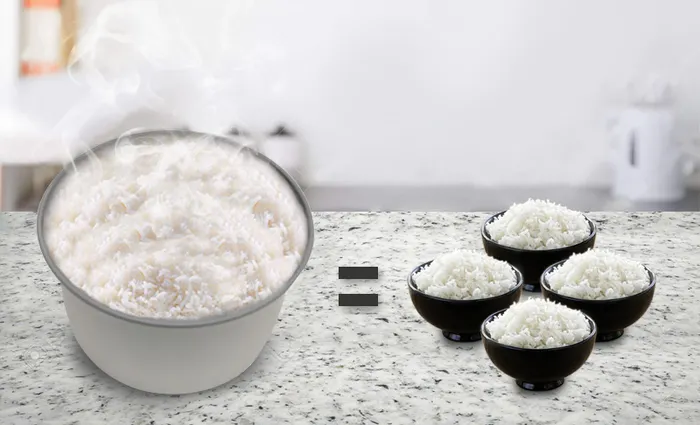 noi-com-dien-happycook-hc-120-12-lit-1a