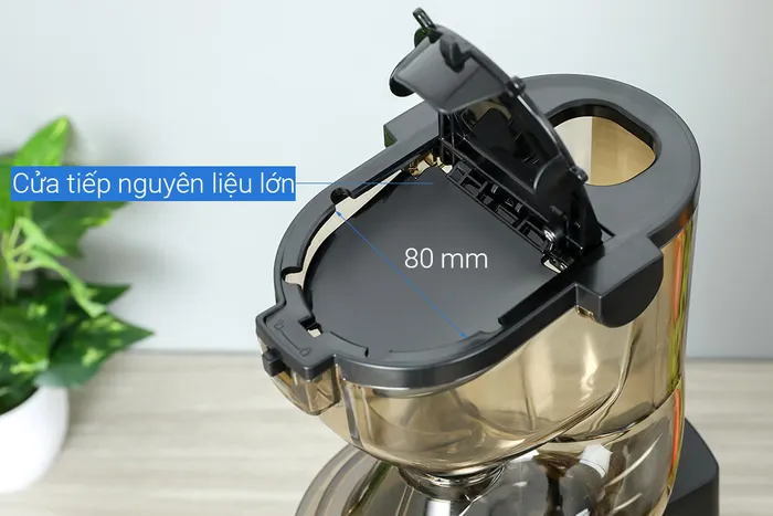 Đường kính ống tiếp nguyên liệu lớn - Máy ép chậm Crystal ZZJ821ML