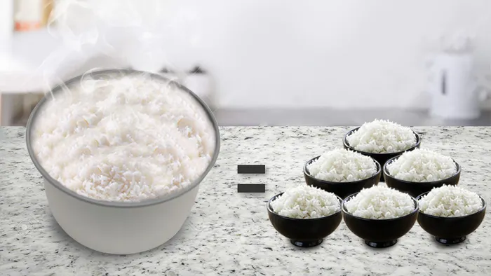 Dung tích lớn - Nồi cơm nắp gài Cuckoo CR- 1413