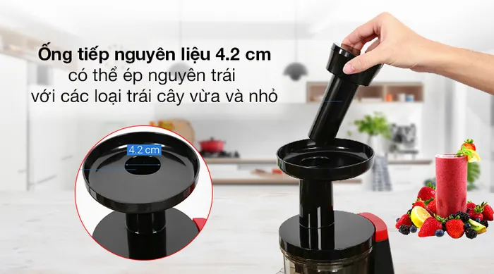Ống tiếp nguyên liệu - Máy ép trái cây Tefal ZC150838