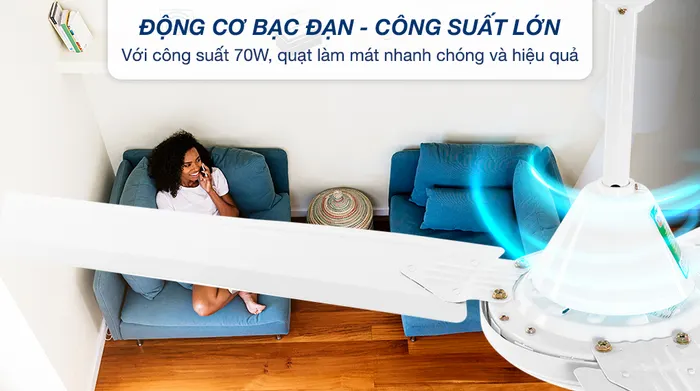 Motor bạc đạn