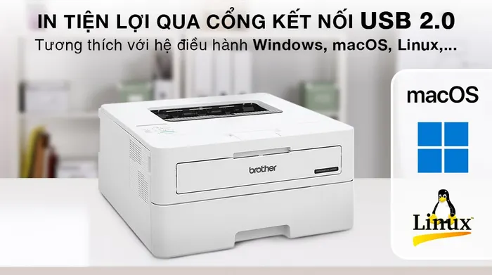 Máy in laser trắng đen đơn năng Brother HL-B2100D - Kết nối