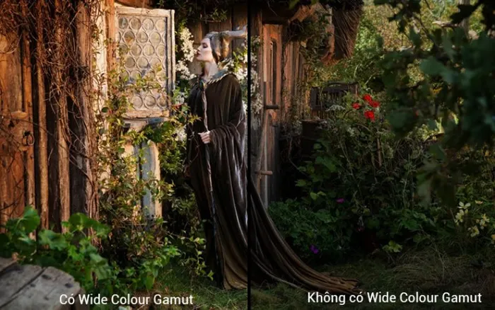 Công nghệ Wide Colour Gamut giúp hình ảnh hiện thị rực rỡ hơn