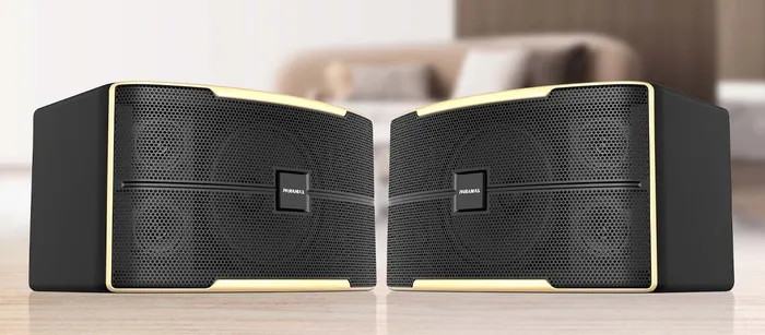 Loa karaoke 10 Inches Paramax Z-1500 có ngoại hình cứng cáp, hiện đại