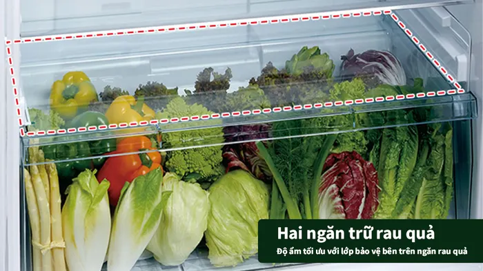 Ngăn rau quả dung tích lớn cùng với lớp giữ ẩm lý tưởng