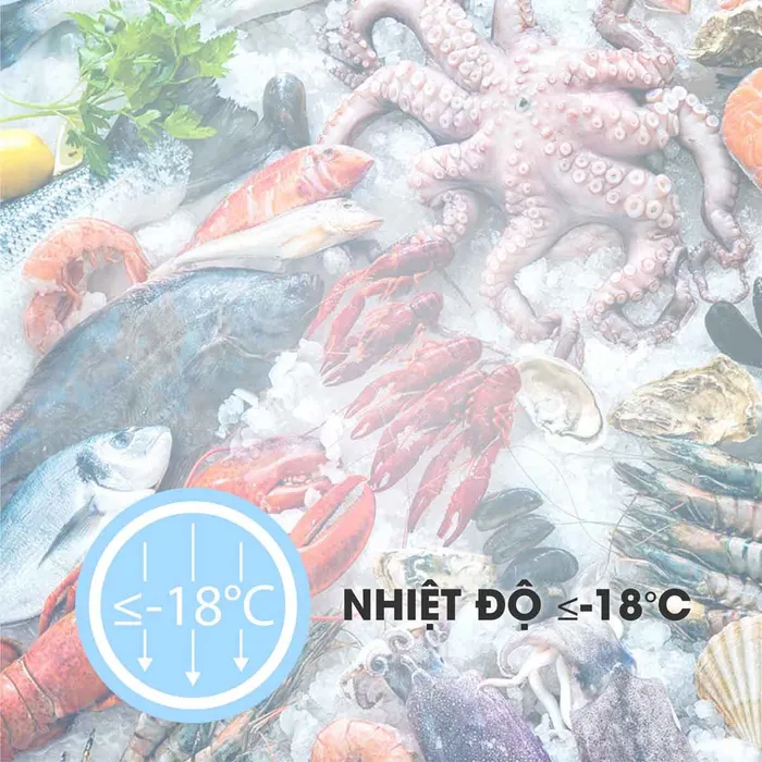 Tủ Đông Sanaky 100 Lít VH-150HY2 có nhiệt độ dưới lý tưởng