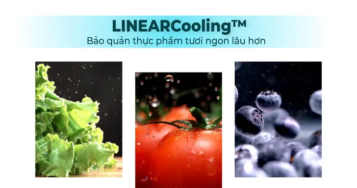 Công nghệ LINEARCooling bảo quản thực phẩm tươi ngon lâu hơn