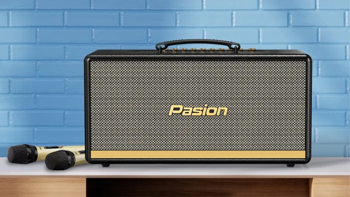 Loa Di Động Xách Tay Paramax PASION 2