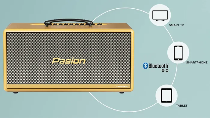 Loa Paramax PASION 2c (Màu Vàng) có hỗ trợ Bluetooth 5.0