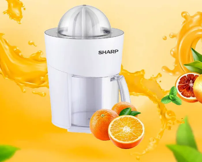 Thiết kế đơn giản 