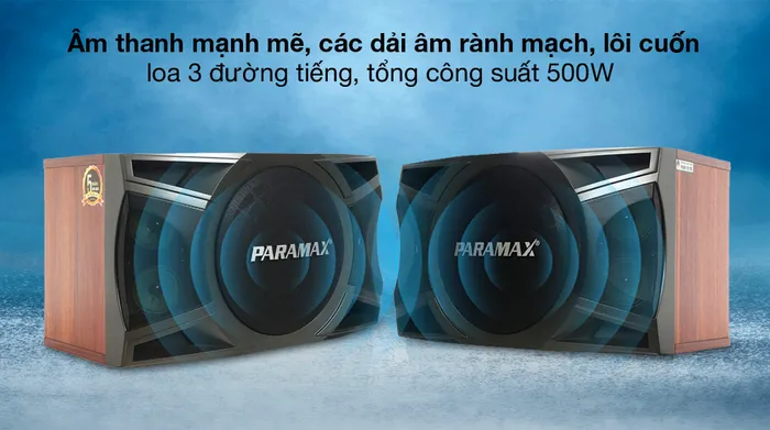 Cặp Loa Karaoke Paramax LX-1200 - Công suất