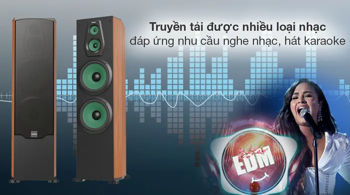 Cặp loa Paramax LX-2800 - Tiện ích