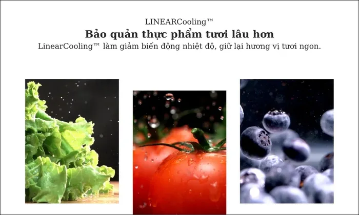 Công nghệ LinearCooling trên Tủ Lạnh LG LTB26BLM 