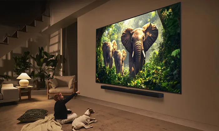 Smart Tivi LG QNED 100QNED86AS có màn hình 100 inch