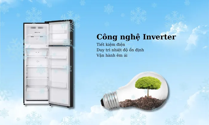 Tủ Lạnh LG Inverter 266 Lít LTB26BLM với công nghệ Inverter