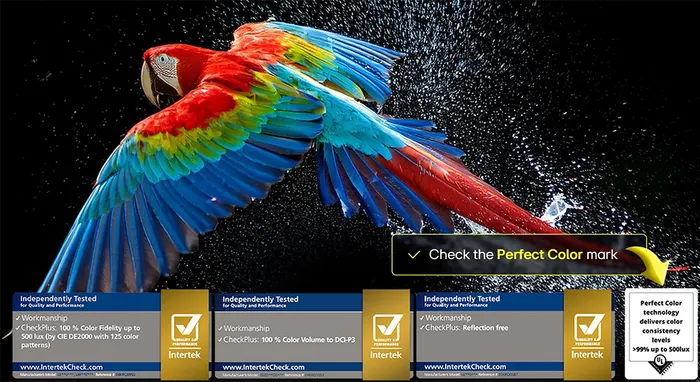 OLED Color Tivi LG OLED Evo AI 4K 65 Inch OLED65G5PSA
