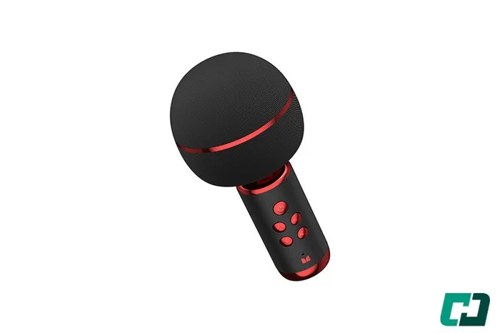 Mic Karaoke.