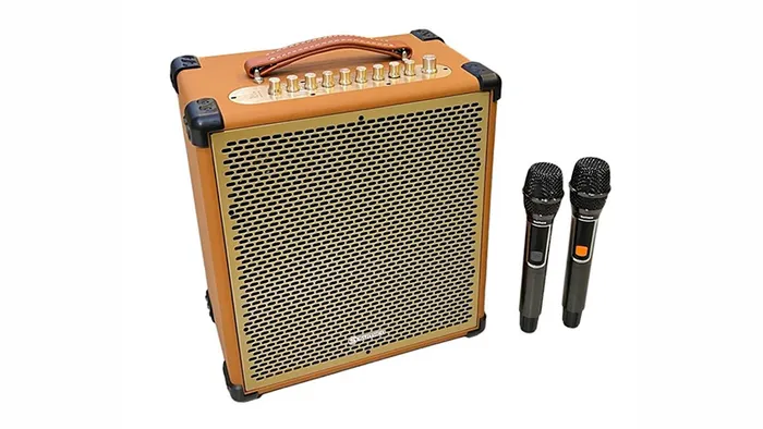 Tích hợp 2 micro không dây.
