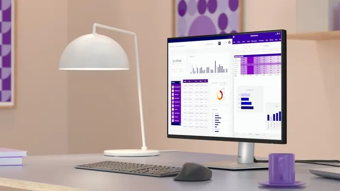 Màn hình Dell P2425H (23.8Inch/ Full HD/ 5ms/ 100HZ/ 300 cd/m2/ IPS)