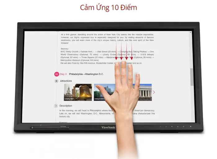 Màn hình Viewsonic TD2423