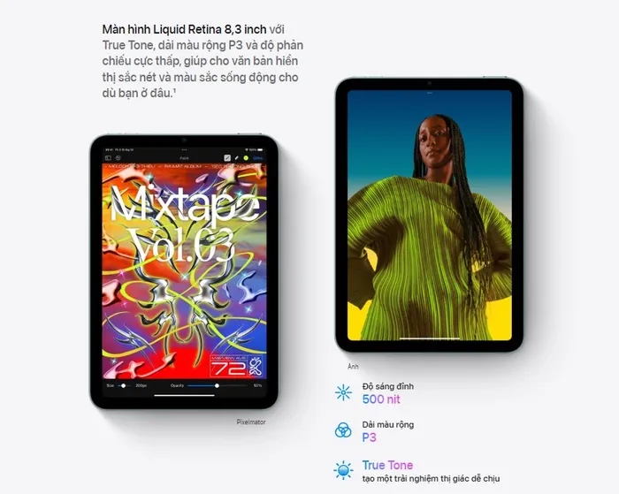 Máy tính bảng Apple iPad mini 7