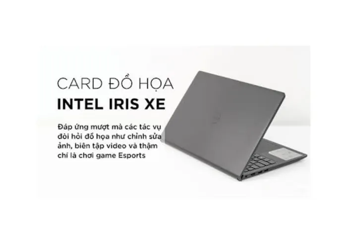 Intel Iris Xe Graphics.